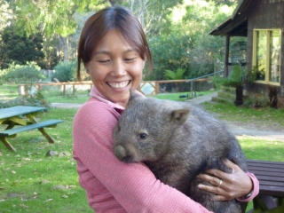 If there's anything wrong, cuddling a wombat will help