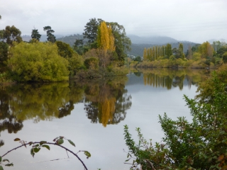 After the rain stopped Tasmania started to look beautiful