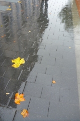 Hobart's streets awash with rain