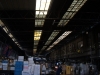 The Tsukiji market is huge